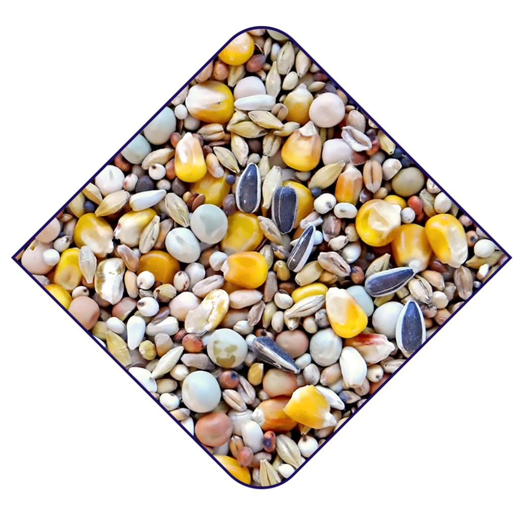 Witte Molen Expert -  Racing Pigeon Yellow Seed Mix 20KG