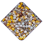 Witte Molen Standard 4 Seasons WM Pigeon Food 20KG