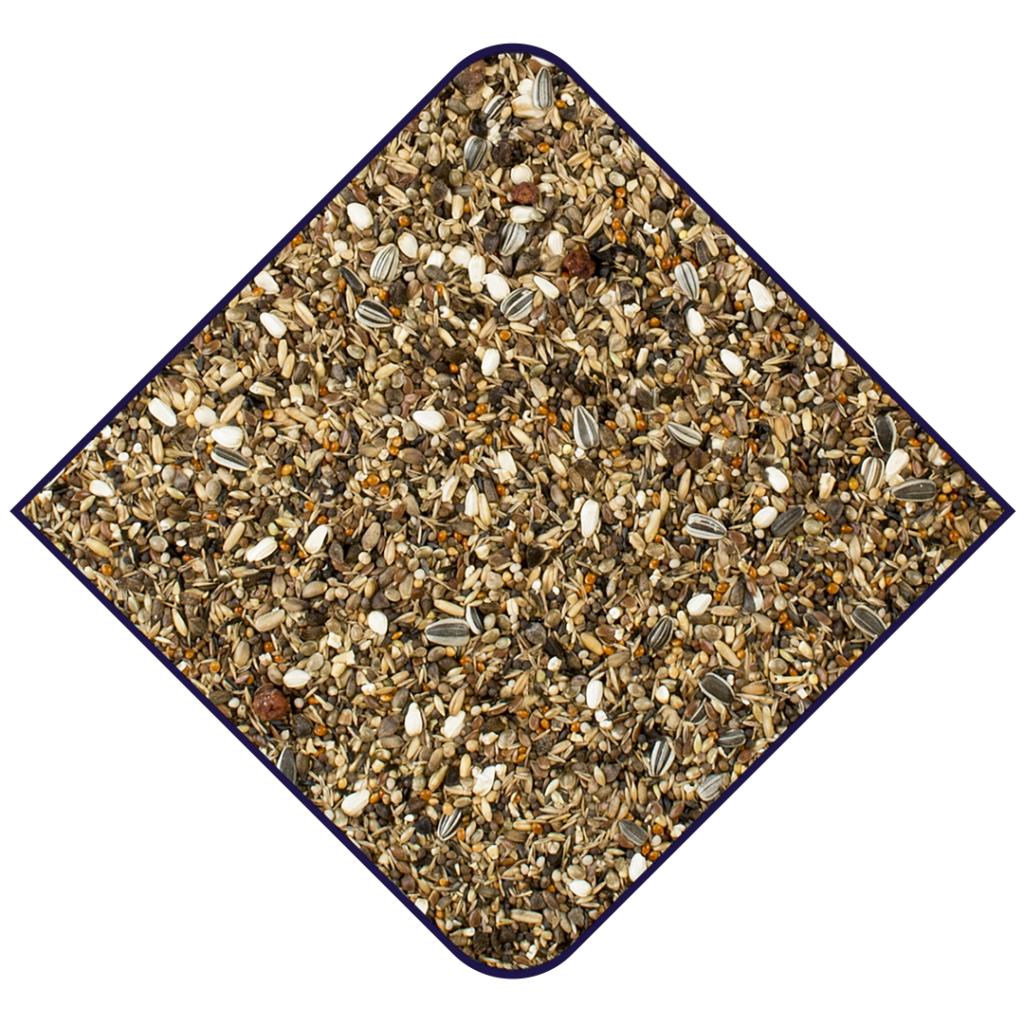 Witte Molen Expert Bullfinches Bird Seed Mix