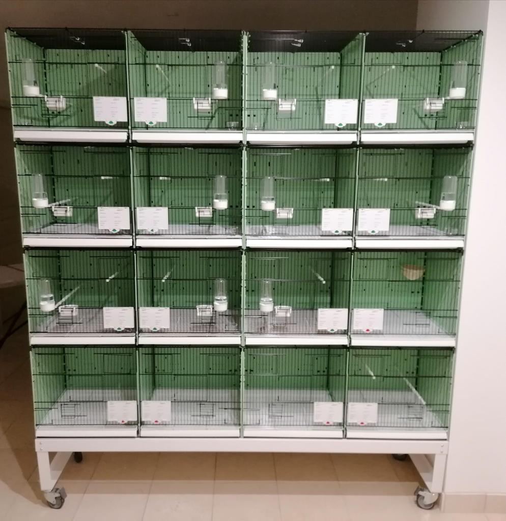 Wire double breeding cage 90x40x40cm - Portofino 2GR image 1